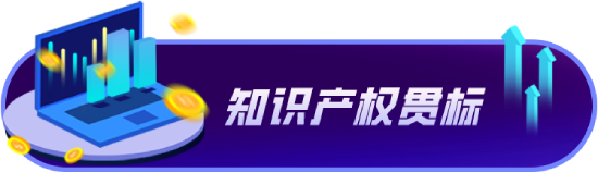 知識產(chǎn)權(quán)貫標(biāo)