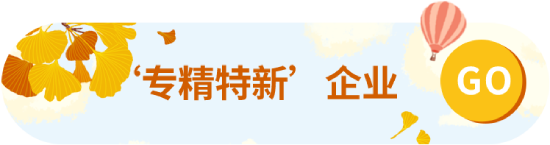 專精特新企業(yè)