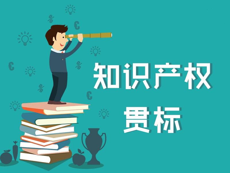 深圳知識(shí)產(chǎn)權(quán)貫標(biāo)