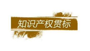 深圳知識產(chǎn)權(quán)貫標(biāo)