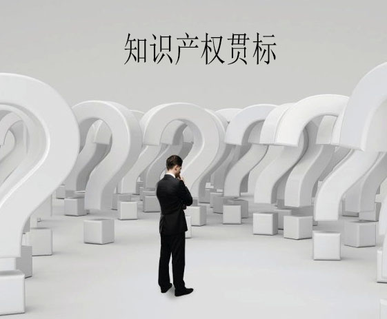 知識(shí)產(chǎn)權(quán)貫標(biāo)