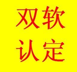 雙軟企業(yè)評估及認(rèn)定