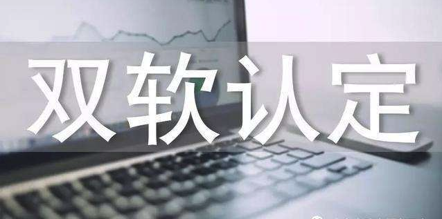 雙軟企業(yè)評(píng)估及認(rèn)定