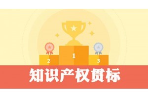 知識產(chǎn)權(quán)貫標(biāo)