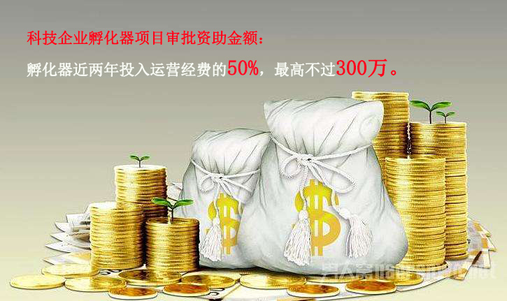 科技企業(yè)孵化器項目補貼